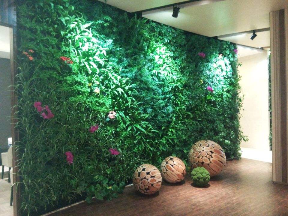 植物墙APP开发